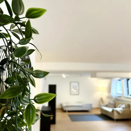Modern Quiet Apartment